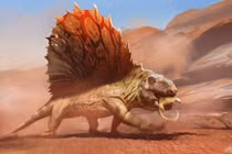 Tận mục tổ tiên của các loài động vật có vú, lưng đeo cánh buồm khủng