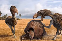 Loài thú bọc giáp dài 3 mét bị con người tuyệt diệt