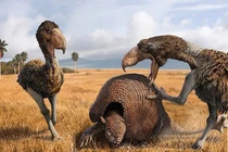 Loài thú bọc giáp dài 3 mét bị con người tuyệt diệt