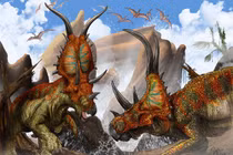 Hóa thạch Diabloceratops hé lộ lịch sử khủng long sừng