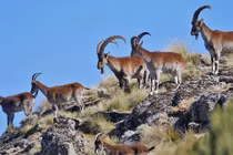 Nơi được ví như 'Grand Canyon châu Phi' đẹp đến nghẹt thở