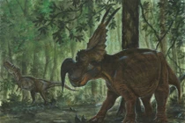 Khám phá Einiosaurus: Loài khủng long sừng đặc trưng của kỷ Phấn Trắng