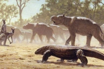 Hé lộ loài thú có túi khổng lồ tuyệt chủng khiến khoa học kinh ngạc