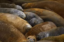 Iran lộ điểm yếu sau đàm phán thất bại với Mỹ tại Islamabad