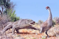 Kỳ đà khổng lồ thời tiền sử Australia: Loài thằn lằn lớn nhất từng biết