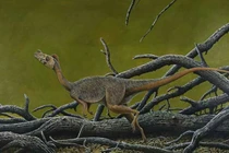 Điều ít biết về khủng long nhỏ nhất từng được phát hiện