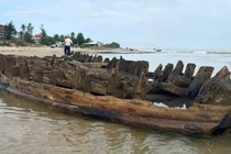  Hành trình bảo tồn đầy rủi ro khó lường