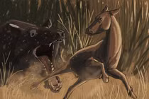 Hành trình tiến hóa của ngựa: từ nhiều ngón đến móng guốc cứng cáp