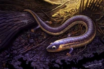 Hóa thạch cổ đại hé lộ quá trình tiến hóa của lưỡng cư