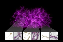 Công bố bản đồ vũ trụ lớn nhất lịch sử từ James Webb
