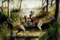 Khủng long tí hon phủ lông vũ, sở hữu ‘cánh’ đuôi gây sửng sốt