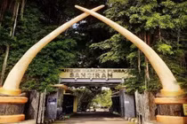 'Kho báu hóa thạch' giải mã nguồn gốc loài người