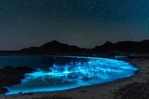 Sóng biển phát sáng huyền bí ở Việt Nam khiến thế giới kinh ngạc