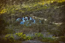 Khám phá kỳ quan kỹ thuật cổ xưa của thổ dân bản địa châu Úc 