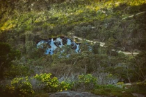 Khám phá kỳ quan kỹ thuật cổ xưa của thổ dân bản địa châu Úc 