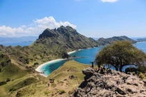 Ngỡ ngàng nơi ẩn náu của loài rồng Komodo lớn nhất thế giới