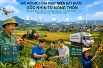 Đổi mới mô hình phát triển đất nước: Góc nhìn từ nông thôn