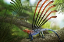 Hóa thạch Longisquama hé lộ bí mật của loài bò sát cổ đại kỳ lạ