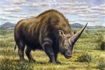 Elasmotherium bí ẩn nguồn gốc huyền thoại kỳ lân từng tồn tại