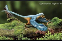 Hóa thạch Epidexipteryx hé lộ mối liên hệ giữa khủng long và chim