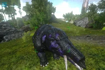 Bất ngờ với hình dáng loài voi cổ đại gần 40 triệu năm trước