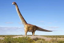 Khám phá khủng long khổng lồ Patagotitan nặng bằng 18 con voi
