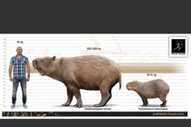 Loài chuột khổng lồ từng thống trị Trái Đất, to như trâu mộng