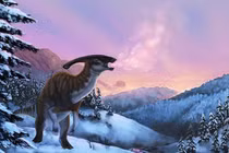 Khám phá loài khủng long mỏ vịt với hệ thống khoang rỗng đặc biệt