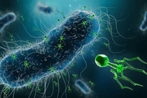 Bí mật vi khuẩn sản xuất điện mở ra kỷ nguyên công nghệ mới