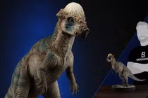 Khủng long “đầu đá” bí ẩn, sở hữu hộp sọ dày 25 cm