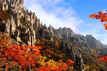 Khám phá Top 10 Di sản Thế giới mới nhất UNESCO 2025