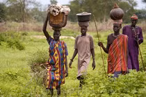 Người Dinka: tộc người cao nhất thế giới và nét đẹp văn hóa đặc trưng
