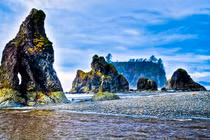 Khám phá vẻ đẹp đa dạng của Vườn quốc gia Olympic ở Mỹ