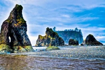 Khám phá vẻ đẹp đa dạng của Vườn quốc gia Olympic ở Mỹ