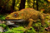 Loài lưỡng cư bọc thép, răng sắc như dao, săn mồi tuyệt đỉnh 