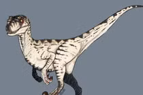 Velociraptor: Kẻ săn mồi nhỏ nhắn nhưng đầy chiến lược