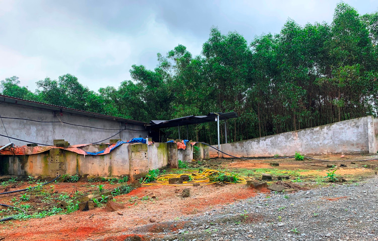 Hệ thống chuồng trại được xây dựng quy mô, kiên cố…