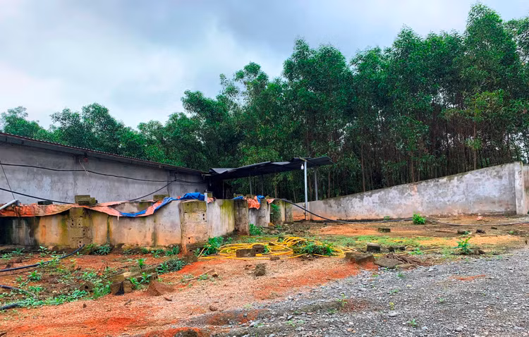 Hệ thống chuồng trại được xây dựng quy mô, kiên cố…