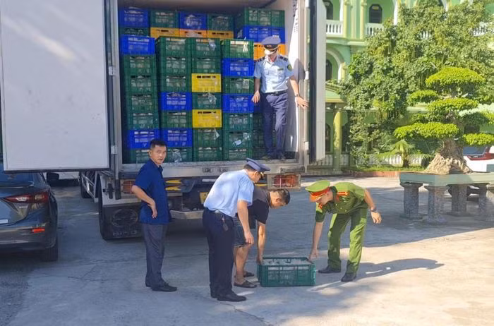 Hơn 10 tấn gà không rõ nguồn gốc, xuất xứ bị lực lượng chức năng bắt giữ. Hơn 10 tấn gà không rõ nguồn gốc, xuất xứ bị lực lượng chức năng bắt giữ.