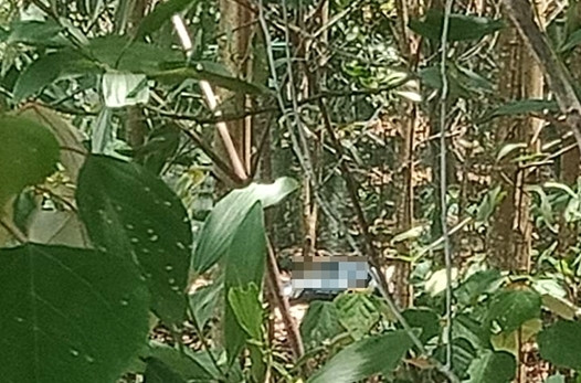 Hiện trường vụ việc...