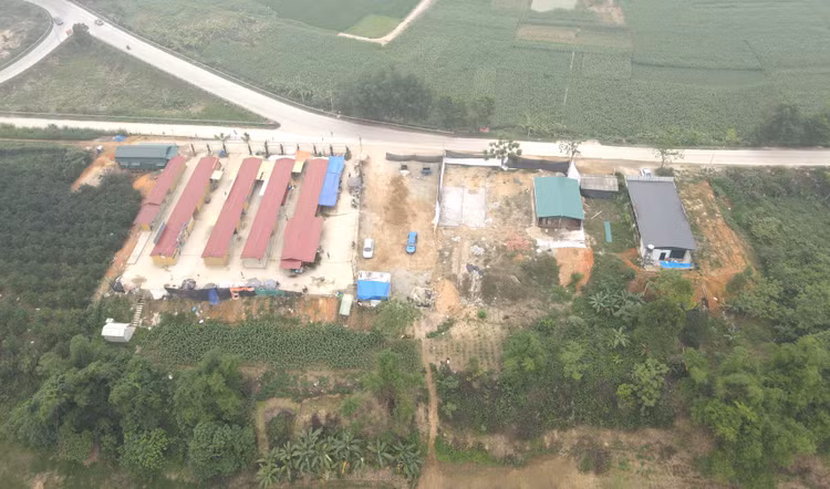 Các công trình xây dựng trên hành lang đê điều, không gian thoát lũ thuộc đê tả Lô, xã Hợp Nhất (Đoan Hùng - Phú Thọ). Ảnh: Vĩnh Phú.