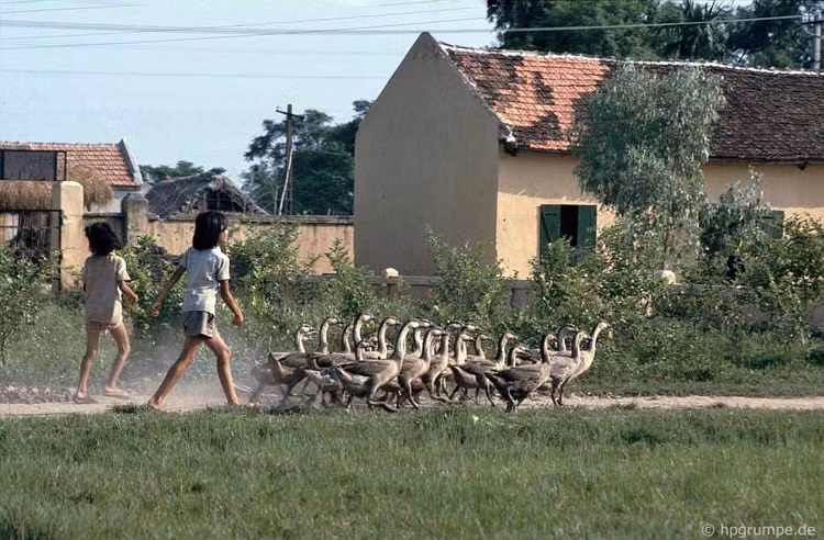 Loat anh de doi ve ngoai thanh Ha Noi nam 1991-Hinh-9