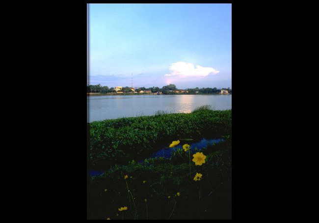 Anh hiem ve cuoc song soi dong o Viet Nam nam 1991-Hinh-4