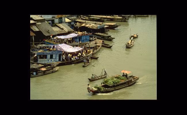 Anh hiem ve cuoc song soi dong o Viet Nam nam 1991-Hinh-2