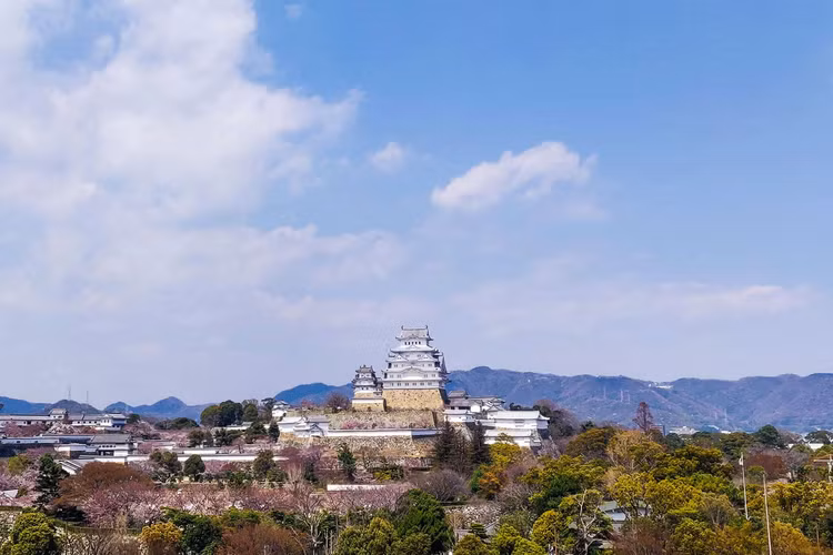 Soi tung ngoc ngach lau dai “Hac trang” dep nhat Nhat Ban-Hinh-7