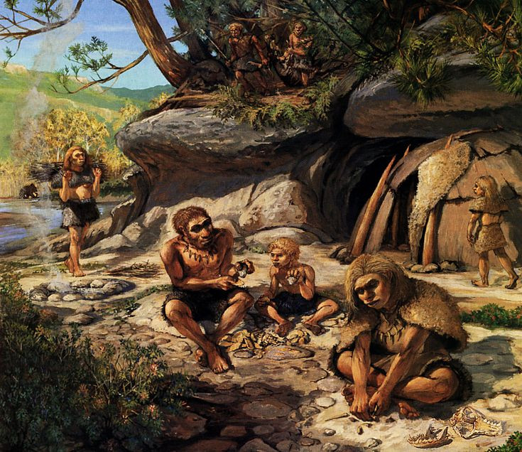 10 sự thật thú vị về người Neanderthal không phải ai cũng biết 10 su that thu vi ve nguoi Neanderthal khong phai ai cung biet