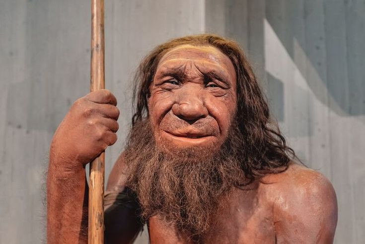 Dieu gi xay ra neu loai nguoi Neanderthal ton tai den ngay nay?-Hinh-9