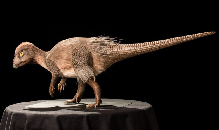 Khung long se tien hoa nhu the nao neu ton tai den ngay nay?-Hinh-4