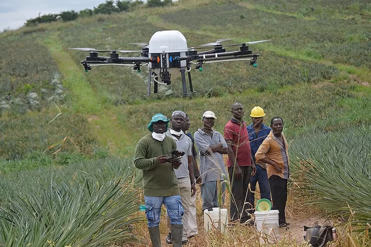 Drone gay mat dien o Long An: Loat nguyen tac vang khi dung drone-Hinh-8