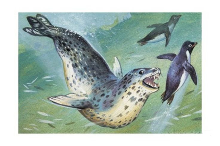 Tiet lo cuc soc ve loai hai cau tan bao nhat the gioi